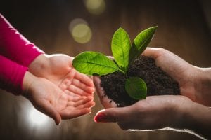 Agricultura Sustentable: beneficios de la sustentabilidad en las fincas agrícolas y técnicas de manejo de los cultivos y de manejo de plagas, enfermedades y malezas que contribuyan a la sustentabilidad agropecuaria.