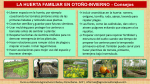 Agricultura Urbana - Consejos