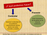 Que Podemos Hacer