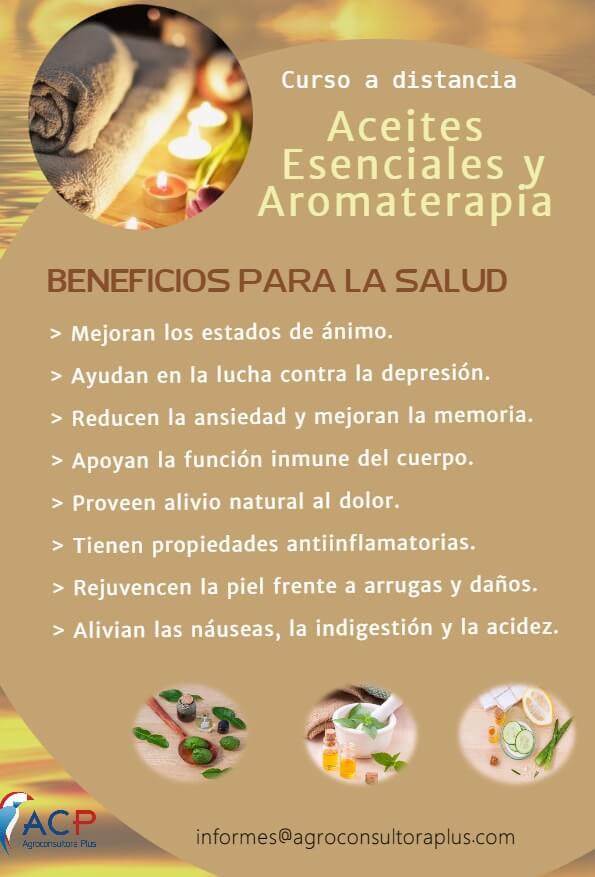 Aceites esenciales: propiedades, usos y tipos