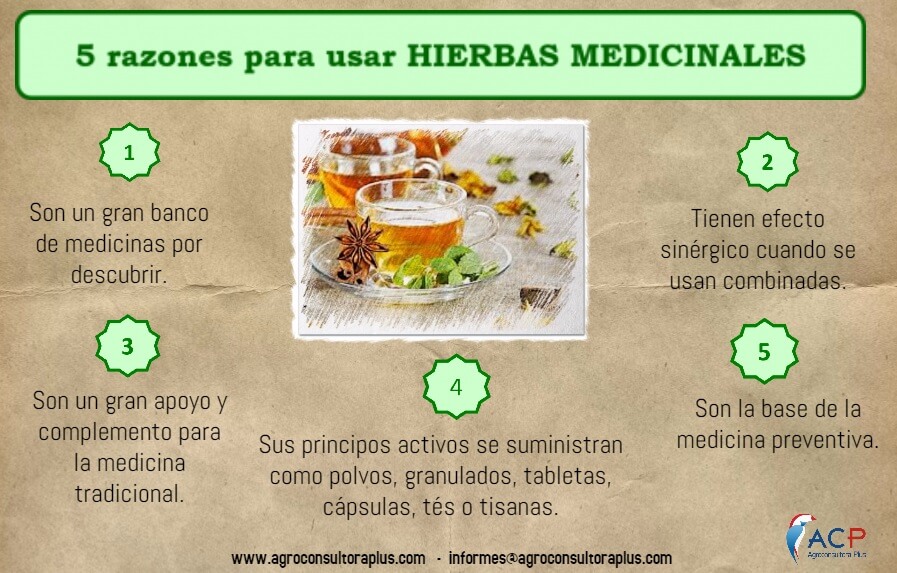 Hierbas Medicinales