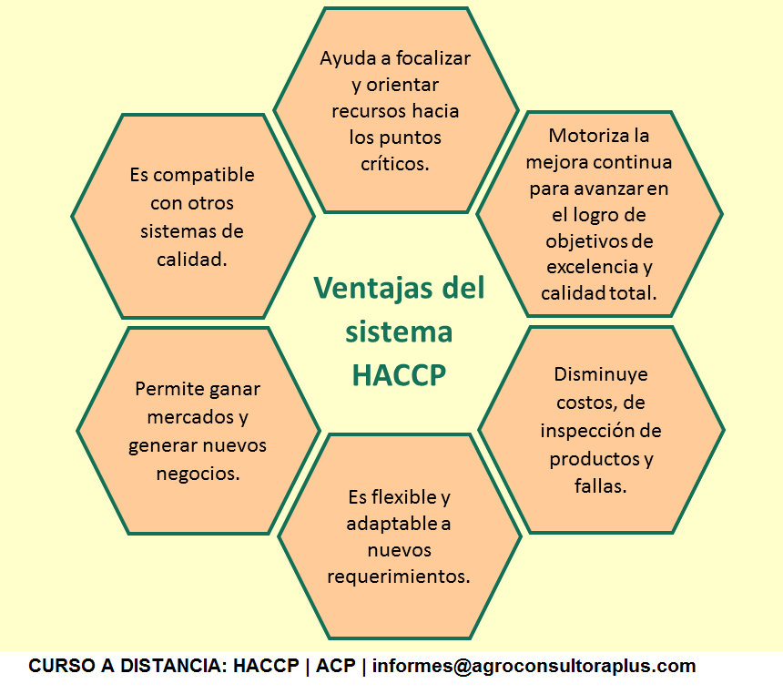 Implementación y Control de un Programa de Aseguramiento de Inocuidad Alimentaria según el Sistema HACCP