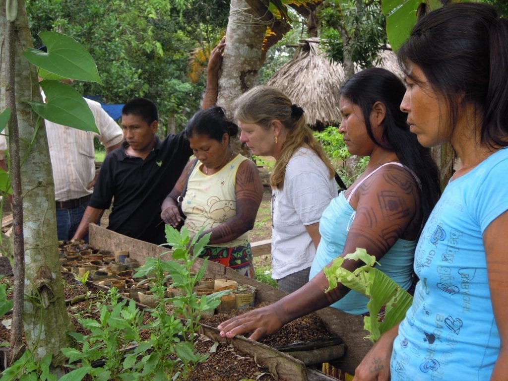 Comunidad de pueblos originarios, Panamá)