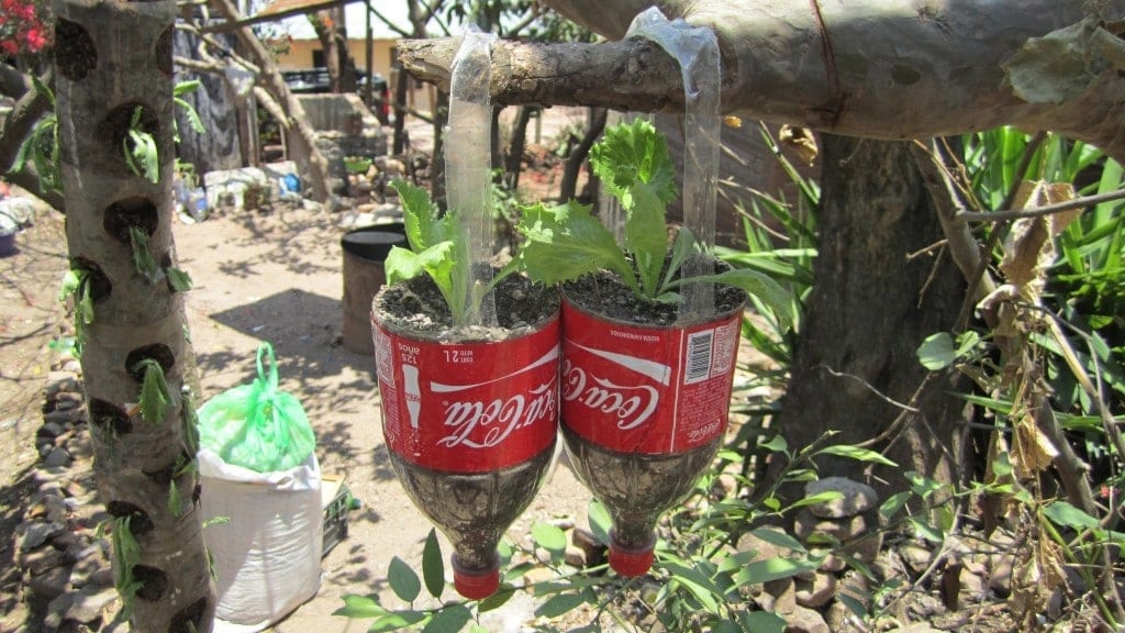 Ejemplos de contenedores reciclados) Paraguay