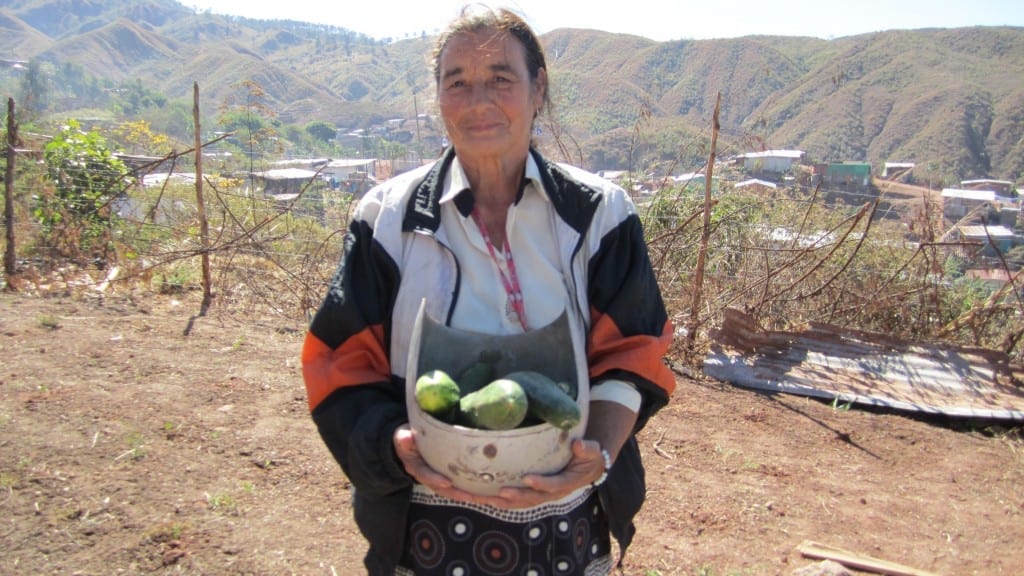 Emprendedora de Chepo, Panamá)