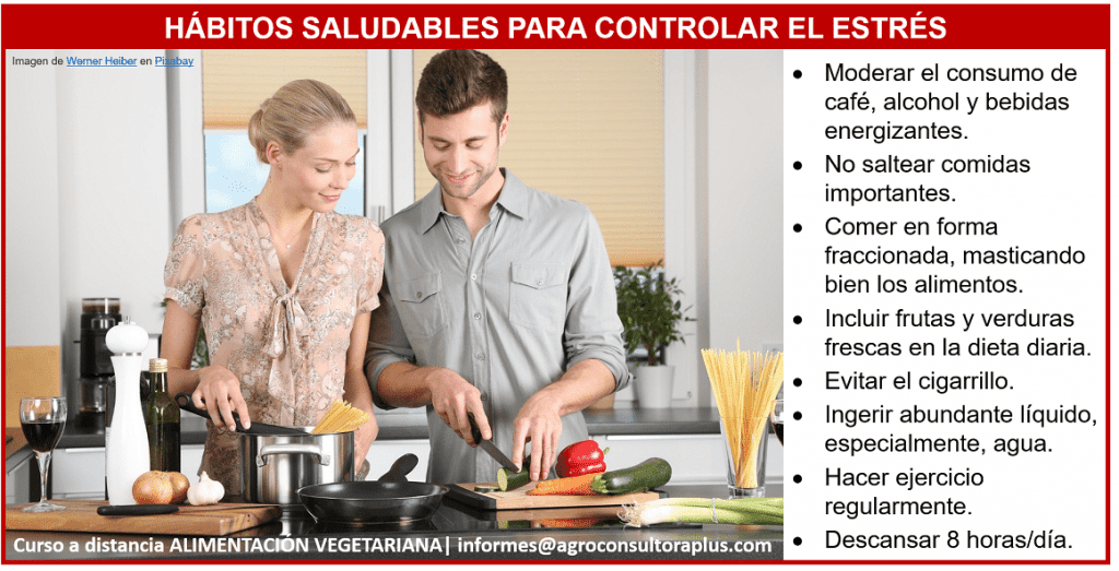 Alimentación Vegetariana en tiempos de estrés - Curso a Distancia de Alimentación Vegetariana