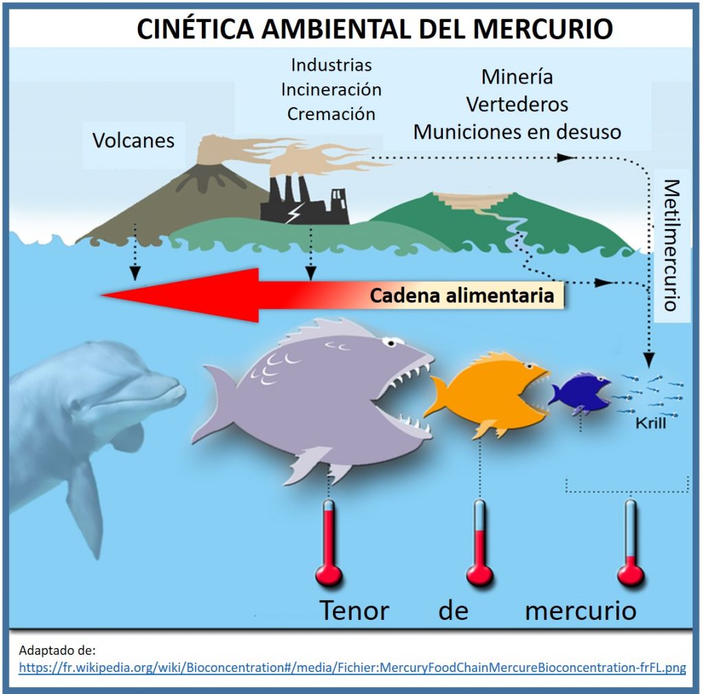 Cinética del mercurio - Contaminación en Minamata, Japón - Efluentes