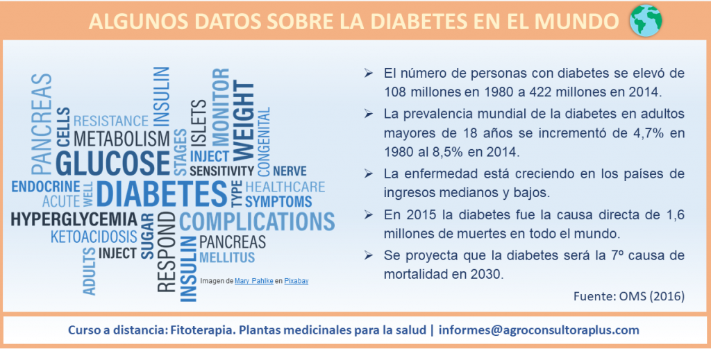 Diabetes y Plantas Medicinales