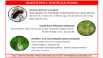 Mejorando el estilo de vida con algunas medidas simples podemos prevenir la Diabetes de tipo 2 o retrasar su aparición: