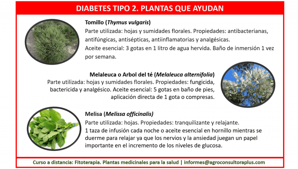 Diabetes y Fitoterapia