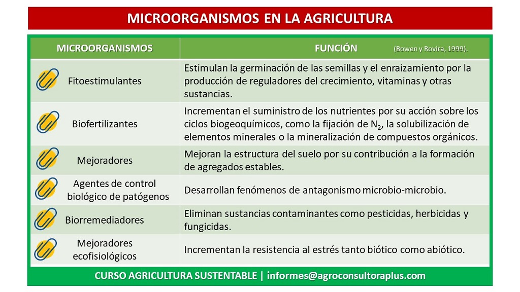 Cuando la agricultura tiene la necesidad de adoptar medidas conservacionistas, los microorganismos y sus relaciones con las actividades del Hombre juegan un rol sustancial.
Estos microorganismos cumplen diferentes funciones ya que pueden fijar el nitrógeno atmosférico libremente en el suelo o vivir en simbiosis con la planta (nódulos de las leguminosas); suministrando a las plantas, a través de procesos de mutua colaboración, nutrientes que éstas necesitan para completar su ciclo productivo (micorrizas); solubilizar diferentes nutrientes del suelo haciéndolos asequibles a las plantas; producir diferentes fitohormonas, las cuales favorecen, por ejemplo, el enraizamiento y desarrollo de las plantas; poner a disposición de las plantas determinados microelementos, tal como el hierro, facilitando su absorción por las plantas.
