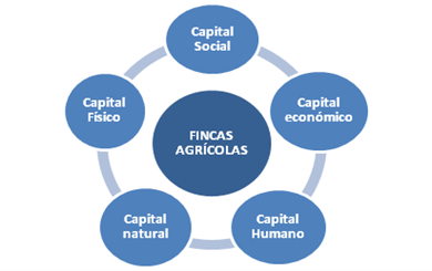 En la última década del siglo XX nació el desarrollo sustentable que reúne diferentes conceptos sobre estabilidad, adaptabilidad, equidad y preservación pero que además incorpora el abordaje ambiental como elemento esencial en el desarrollo productivo. 