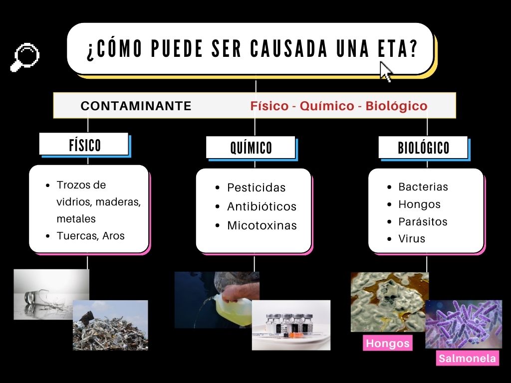 los alimentos son manipulados por distintas personas, así como, toman contacto con numerosas superficies y es objeto de una importante manipulación que puede llegar a comprometer su inocuidad, dando origen a las Enfermedades de Transmisión Alimentaria (ETAs).